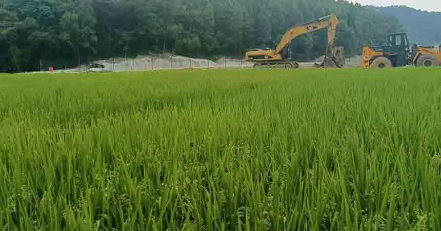 Barren Hills Turned into Fertile Fields